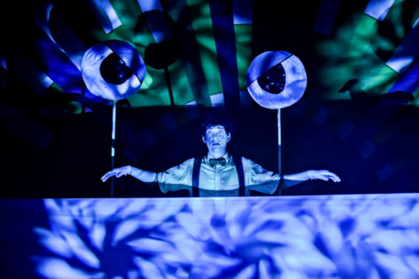 Photo Flash: First Look at Immersion Theatre's Production Of THE AMAZING ADVENTURES OF PINOCCHIO  Image