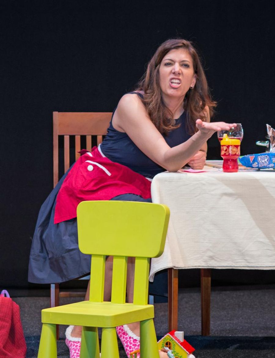 Review: ONE FUNNY MOTHER at Starlight Theatre Image
