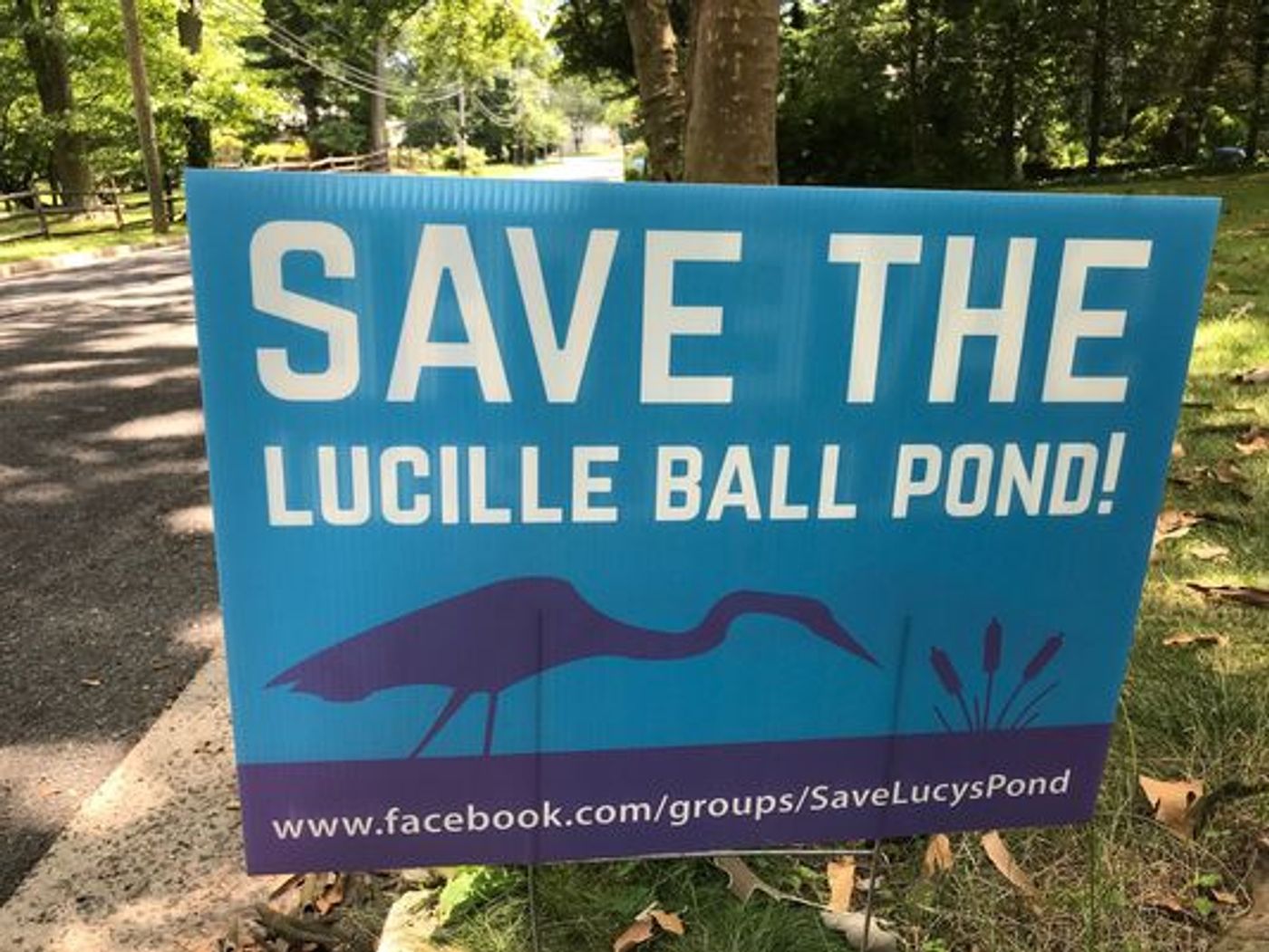 Feature: THE GARDEN STATE LOVES LUCY!  Image