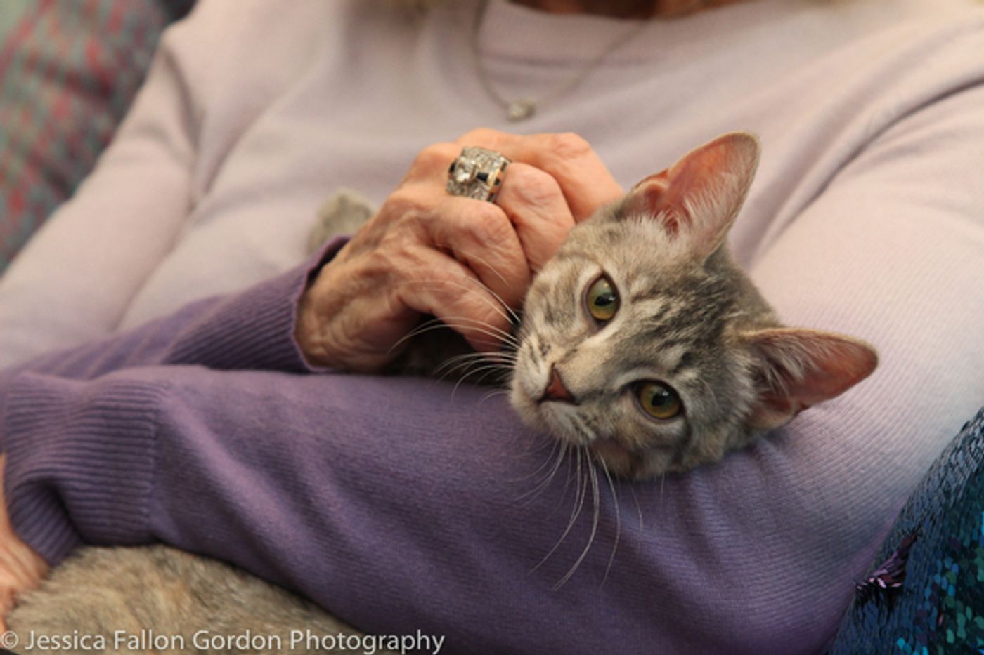 Tails of Broadway: Jamie deRoy Has a Purrrrfect Pair in Harpo and Chloe!  Image