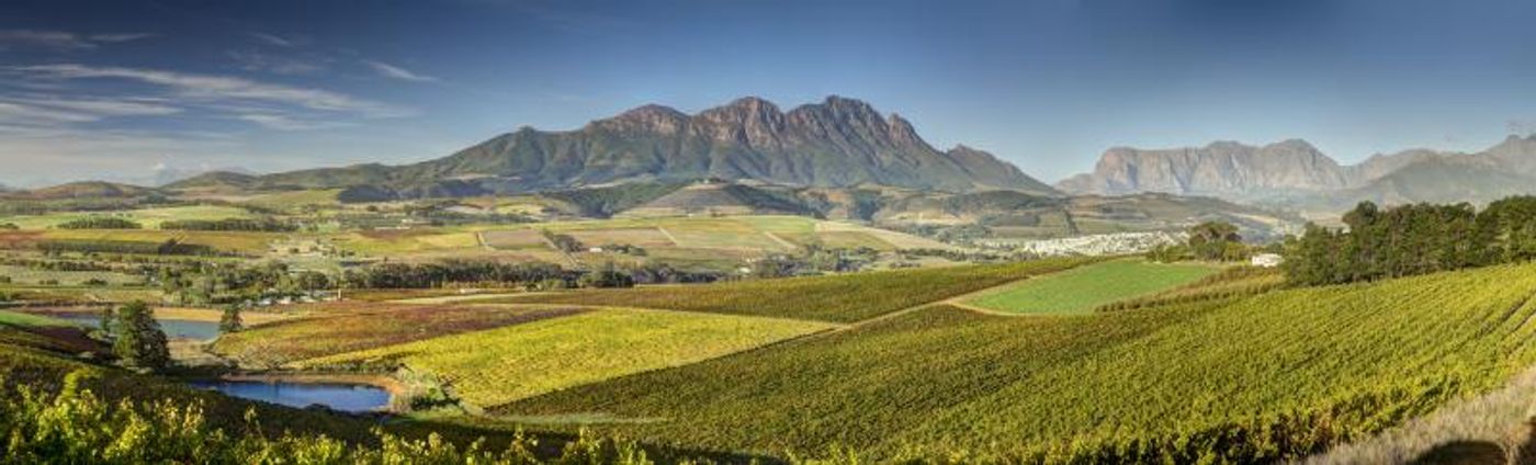 SIMONSIG WINES and Asian Flavors-Perfect Together  Image