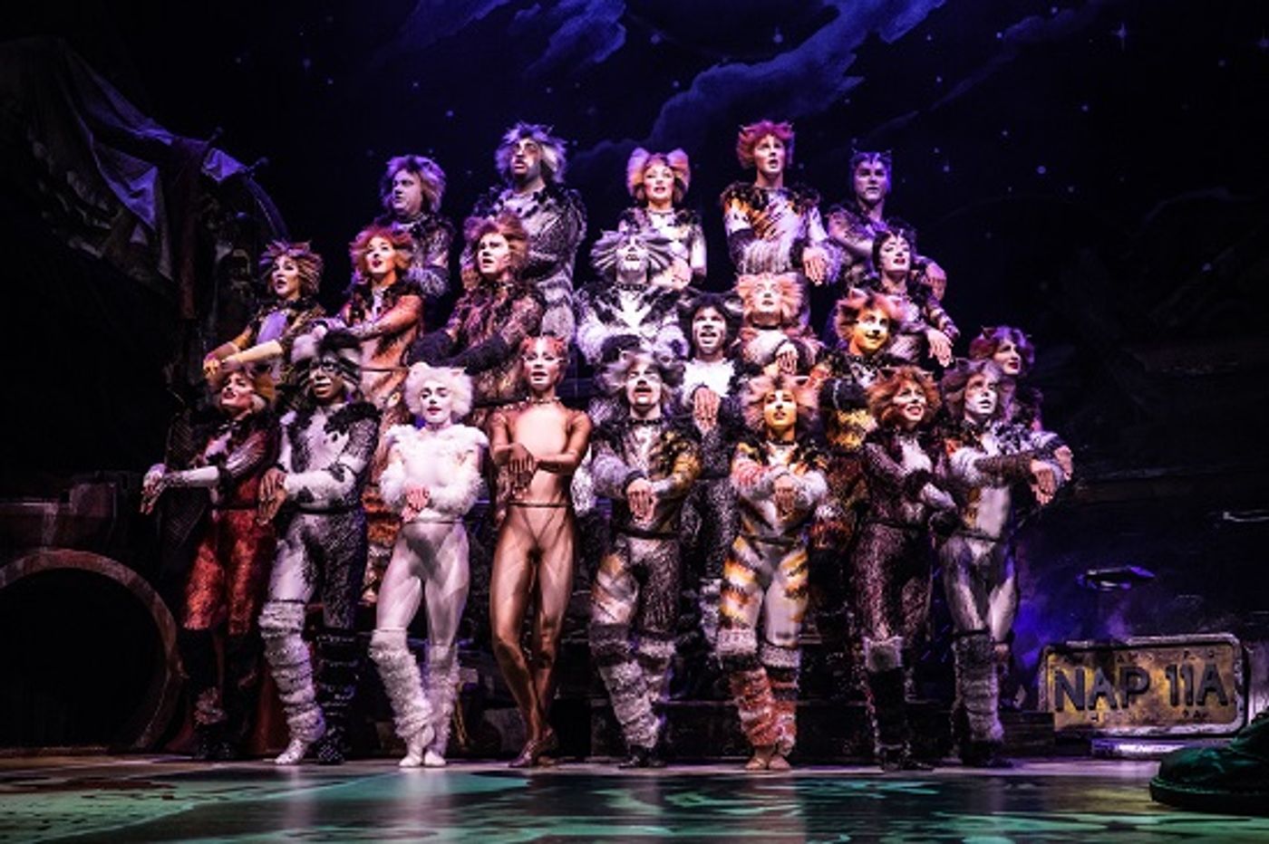 Review: The CATS Phenomenon Continues at the Hollywood Pantages Review: The CATS Phenomenon Continues at the Hollywood Pantages Image