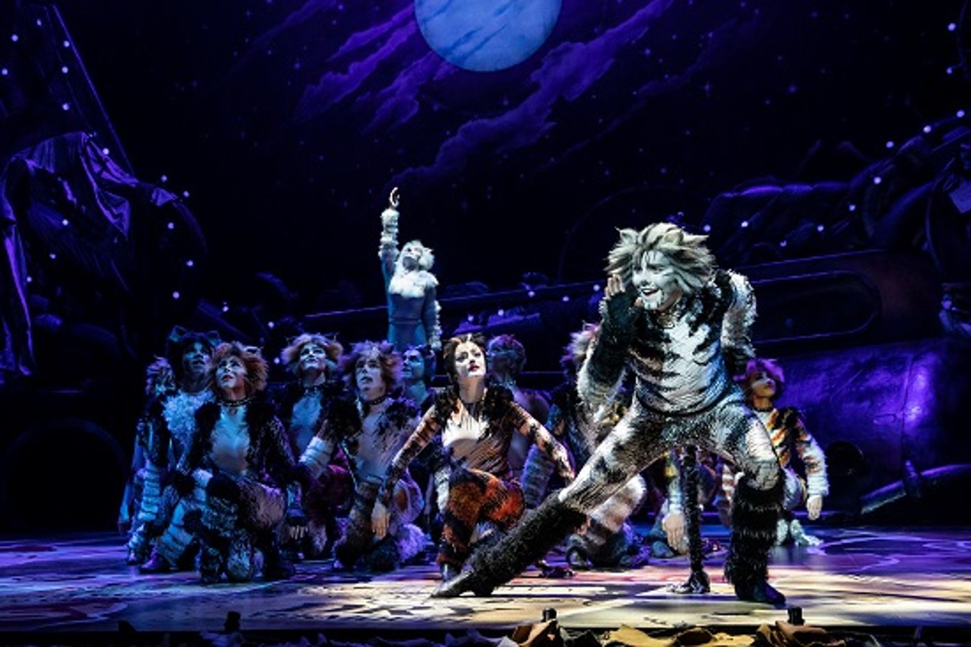 Review: The CATS Phenomenon Continues at the Hollywood Pantages  Image