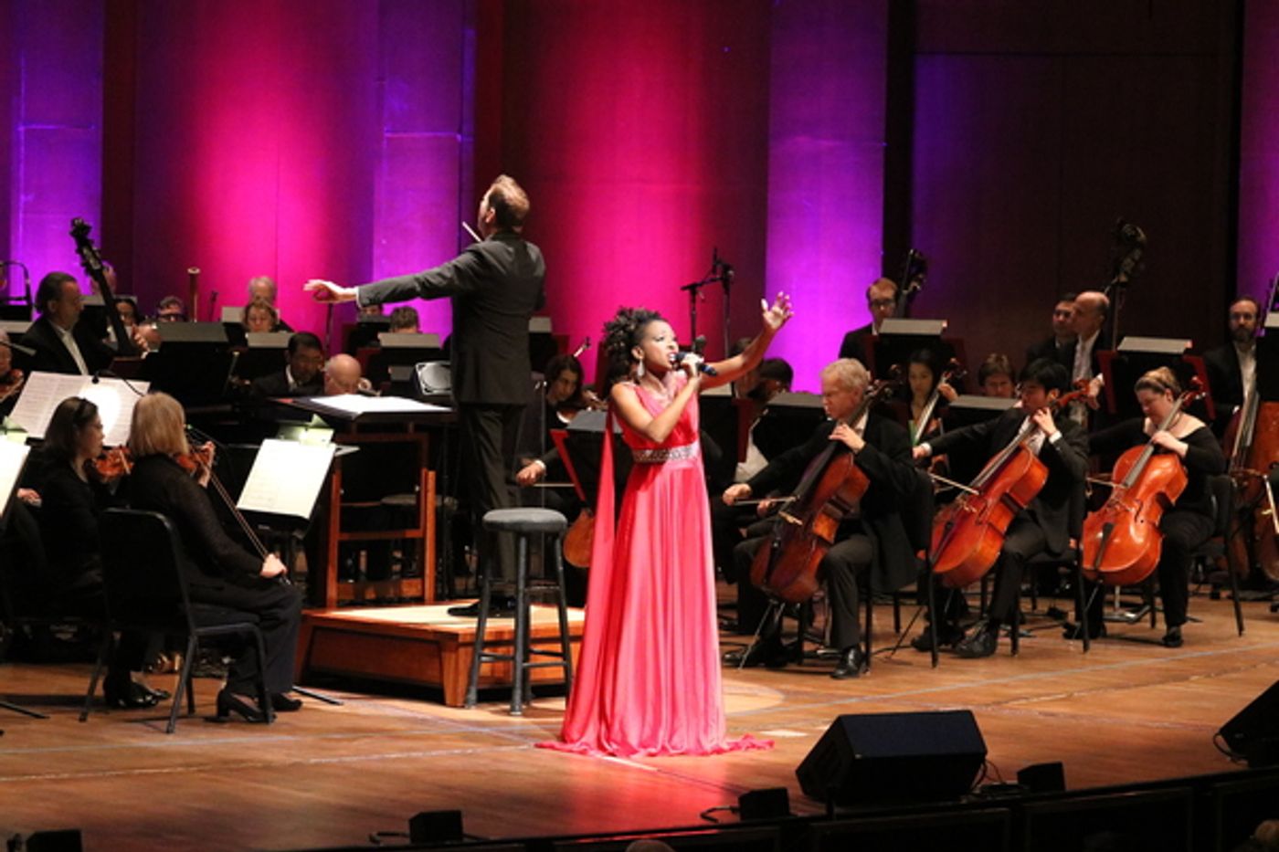 Photo Flash: N'Kenge Performs With the Houston Symphony Orchestra  Image