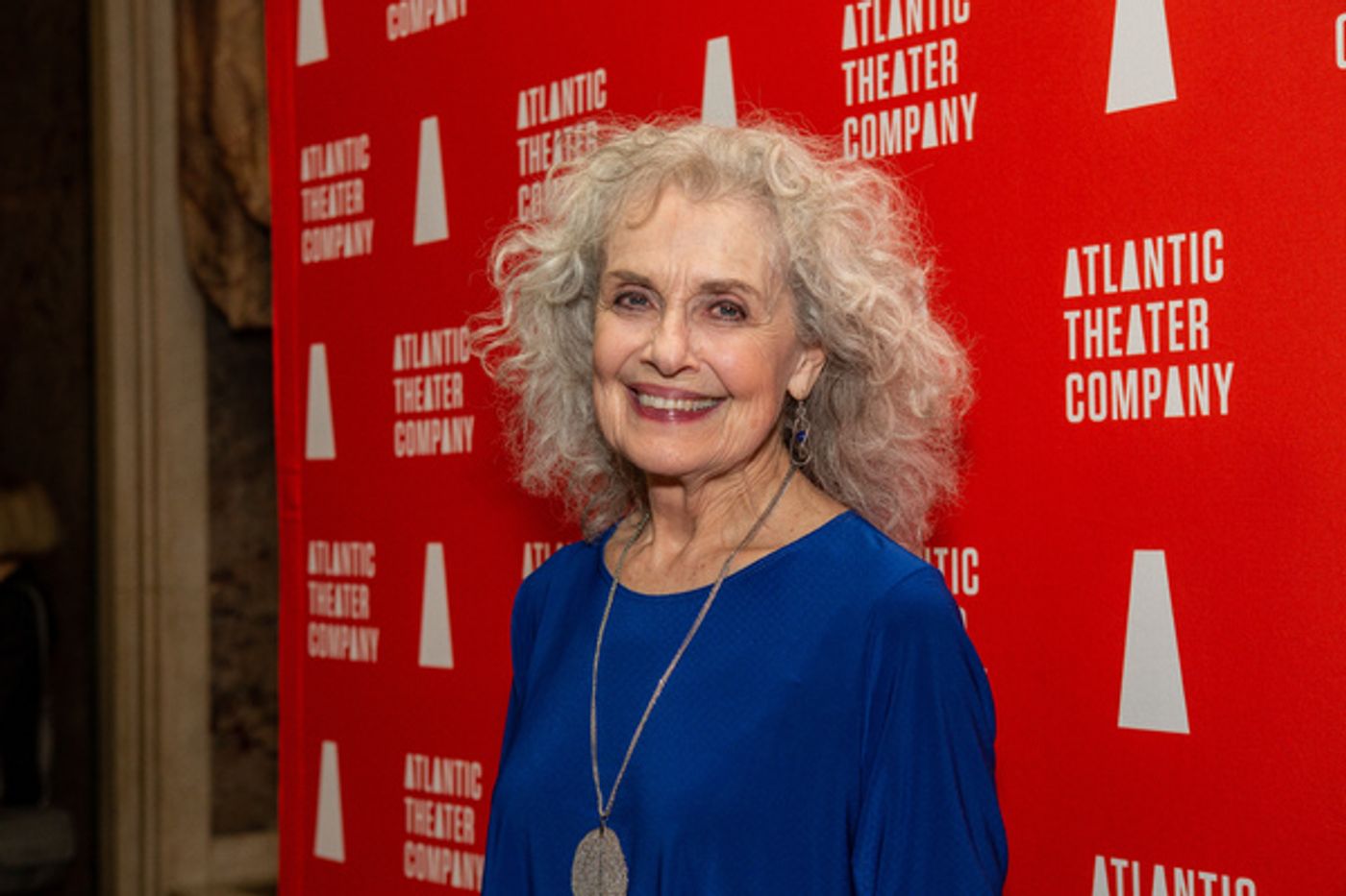 Photo Coverage: Atlantic Theatre Company Celebrates Powerhouse Women at Diva's Choice Gala  Image