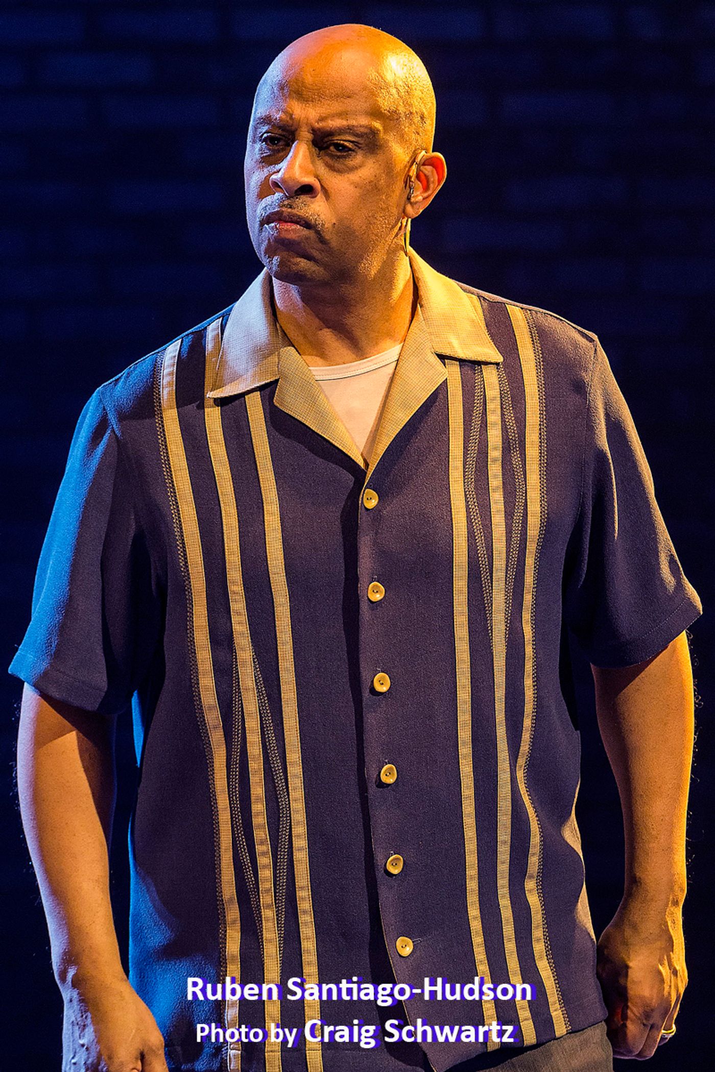 Interview: Renaissance Man Ruben Santiago-Hudson From LACKAWANNA To Broadway, HBO & Back  Image