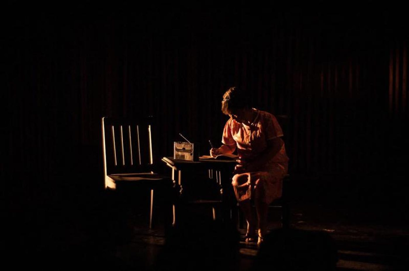 Review: DUP's NANA ROSA Is Alternately Mournful And Optimistic  Image