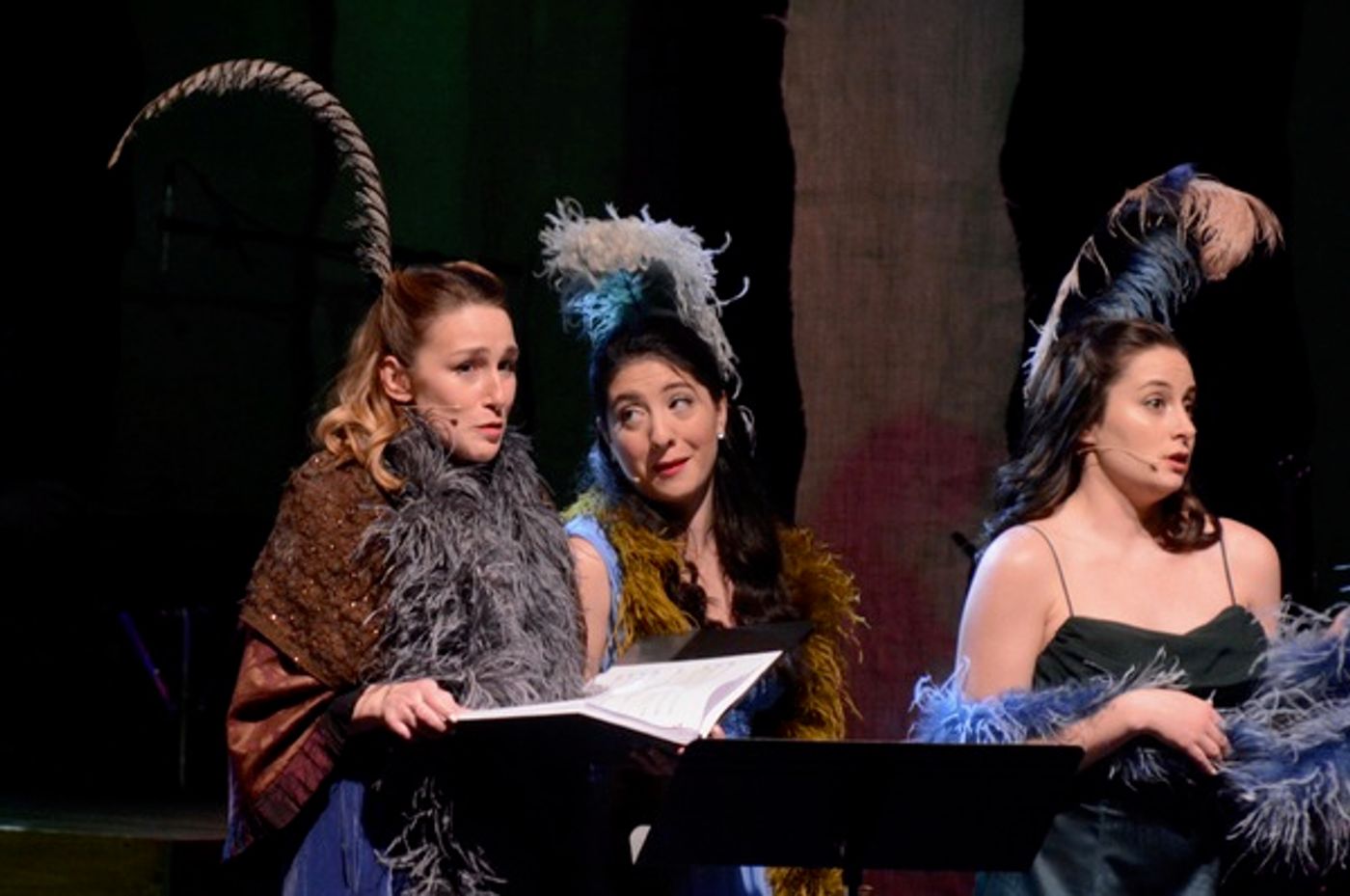 Photo Coverage: Alice Ripley, Ali Ewoldt, and More in INTO THE WOODS In Concert at The Patchogue Theatre  Image