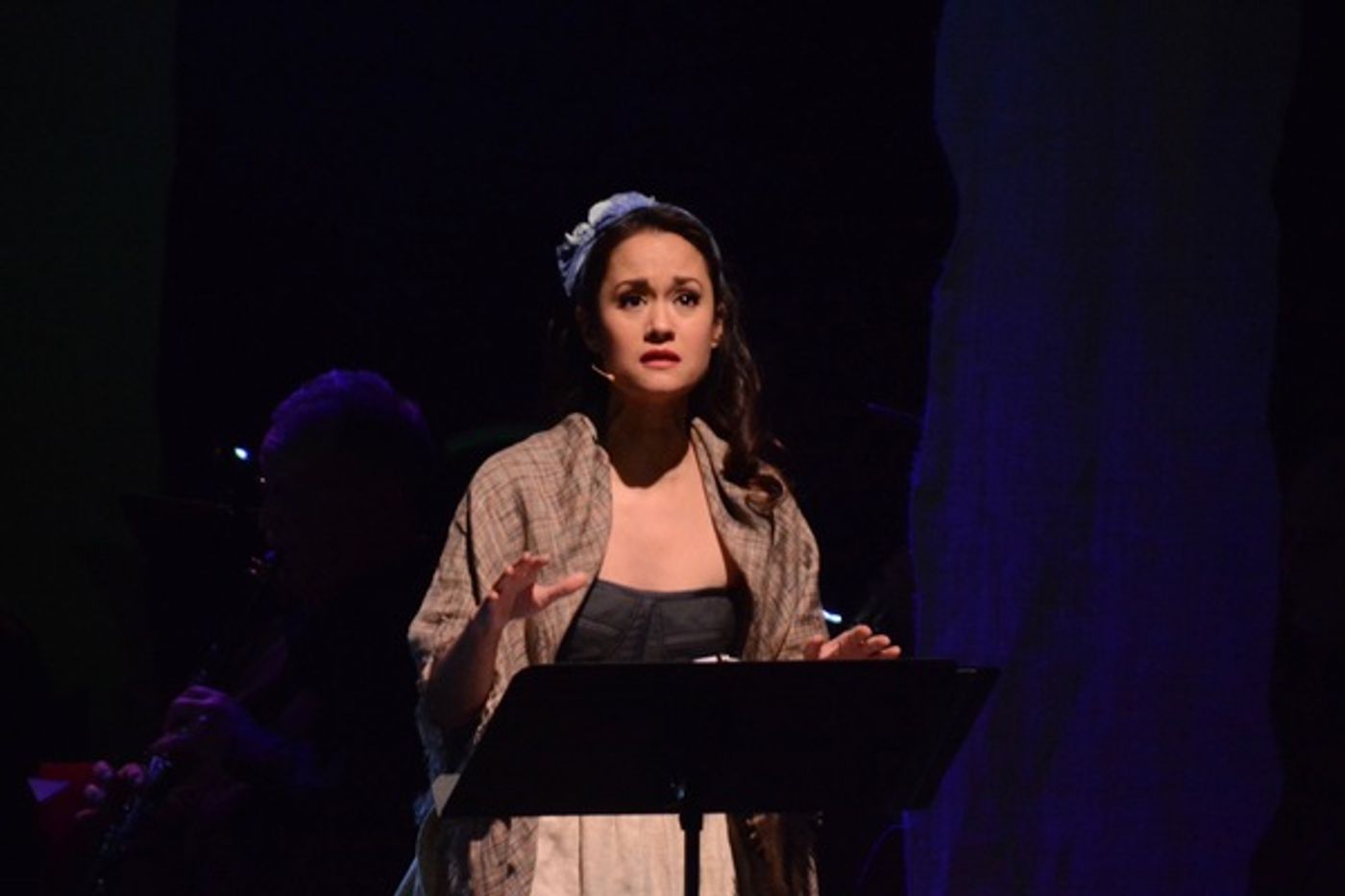 Photo Coverage: Alice Ripley, Ali Ewoldt, and More in INTO THE WOODS In Concert at The Patchogue Theatre  Image