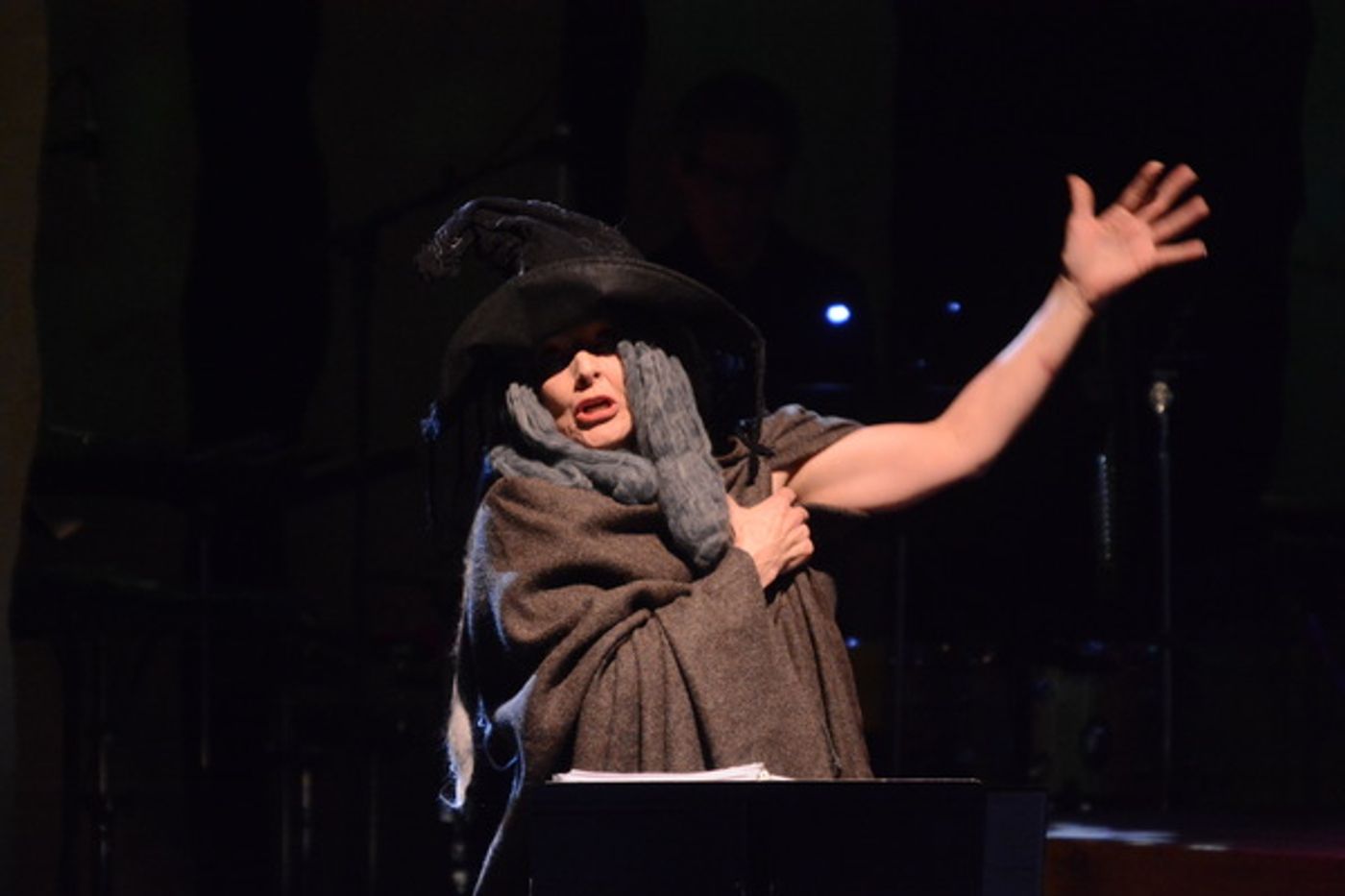 Photo Coverage: Alice Ripley, Ali Ewoldt, and More in INTO THE WOODS In Concert at The Patchogue Theatre  Image