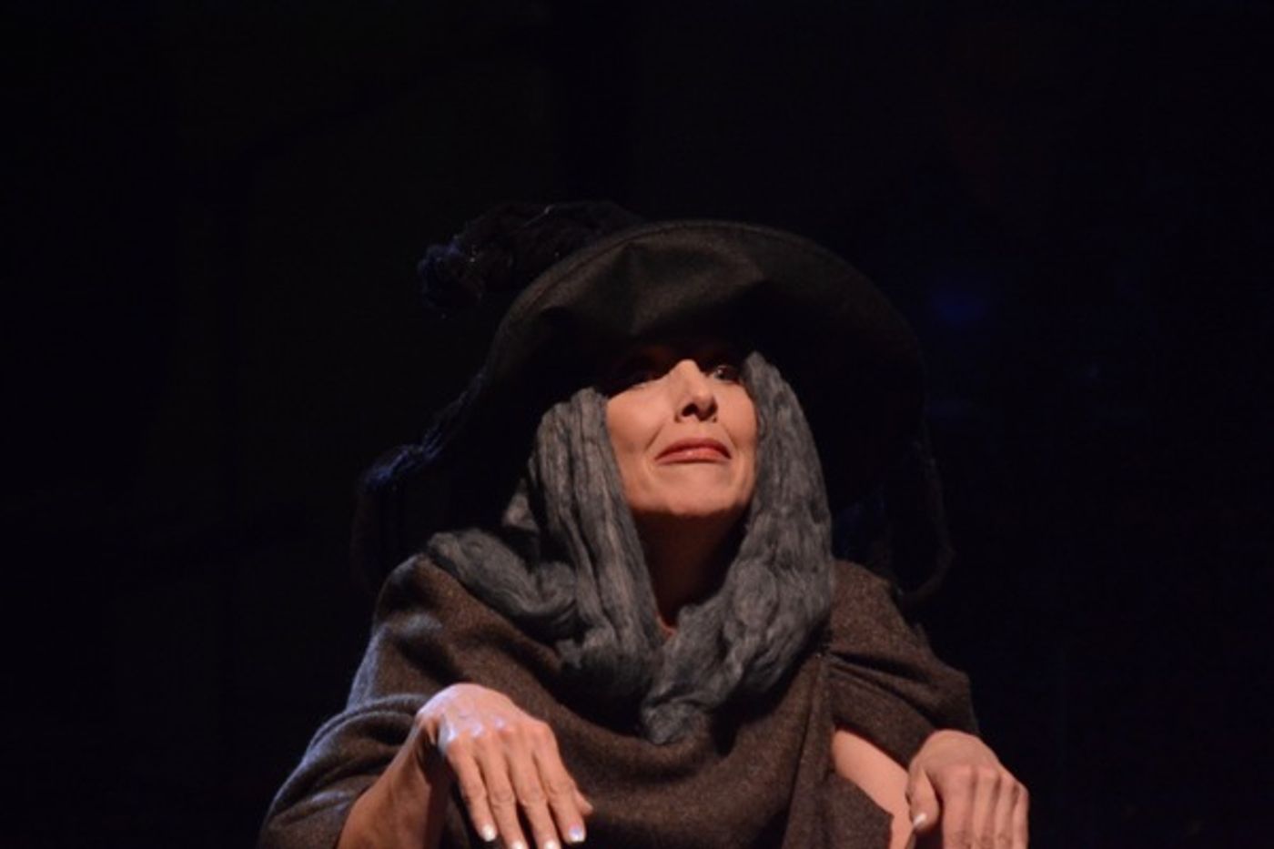 Photo Coverage: Alice Ripley, Ali Ewoldt, and More in INTO THE WOODS In Concert at The Patchogue Theatre  Image