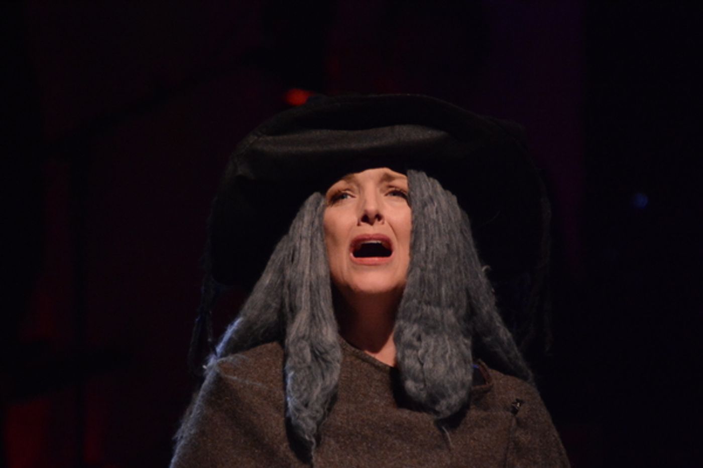 Photo Coverage: Alice Ripley, Ali Ewoldt, and More in INTO THE WOODS In Concert at The Patchogue Theatre  Image
