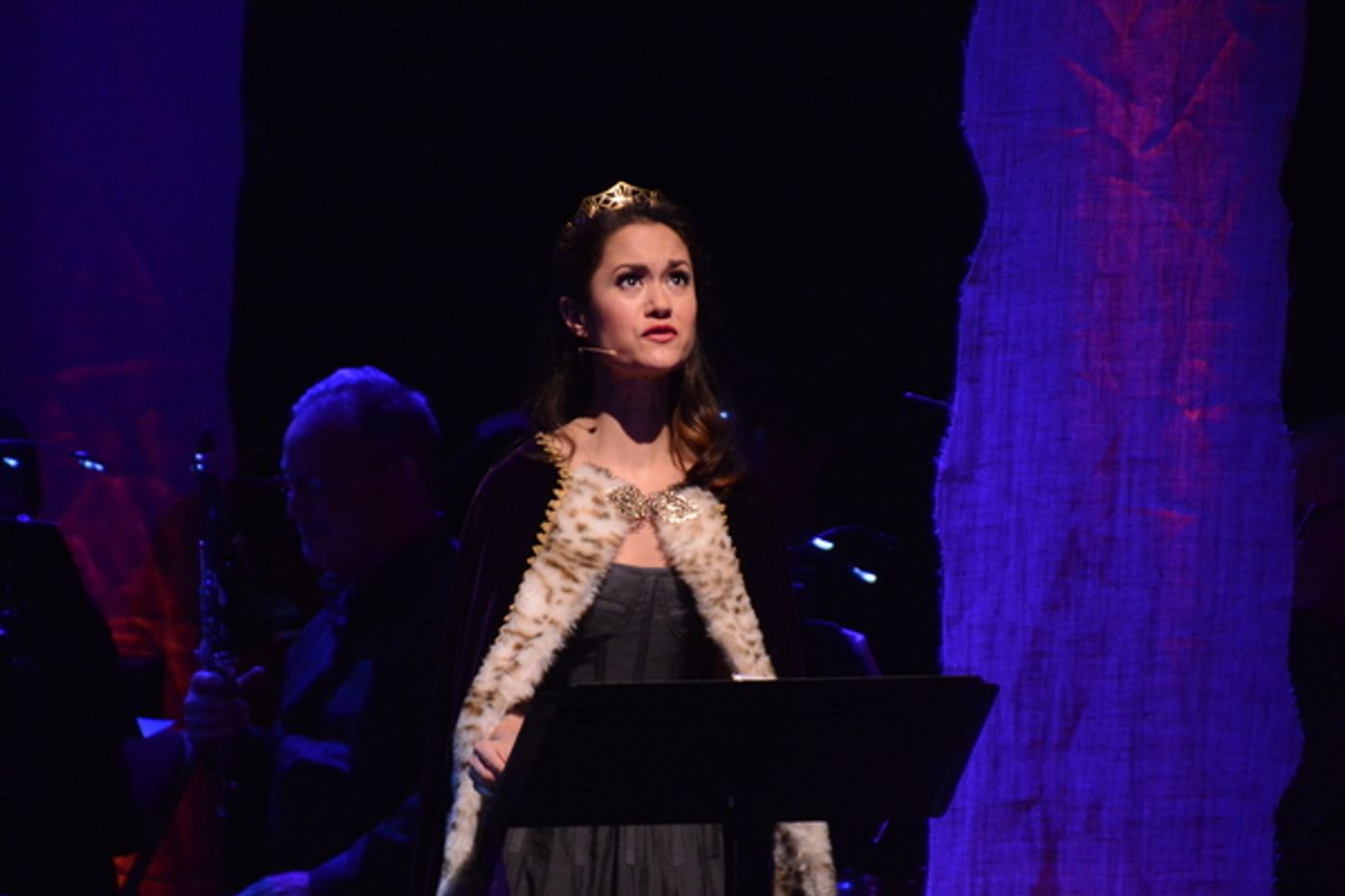 Photo Coverage: Alice Ripley, Ali Ewoldt, and More in INTO THE WOODS In Concert at The Patchogue Theatre  Image