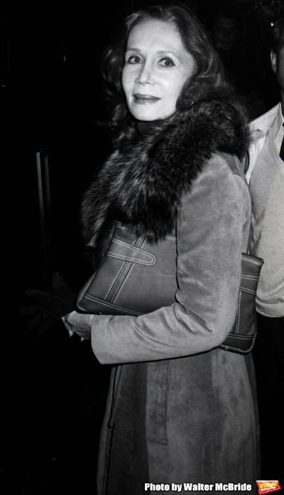 David Christian and Katherine Helmond attend a Broadway Show on November 14, 1980 in  Photo