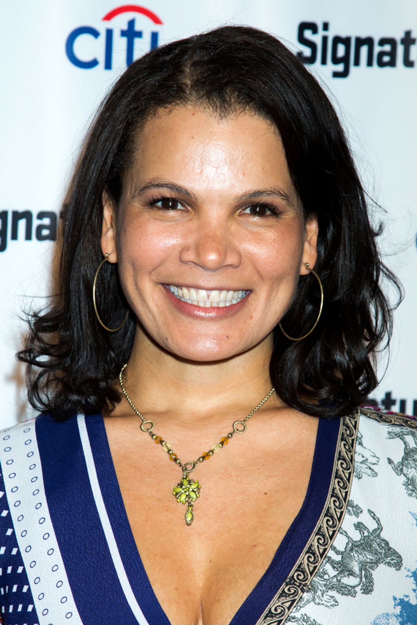 Photo Coverage: Signature Theatre's Spring Gala Honors Michael Corbat  Image