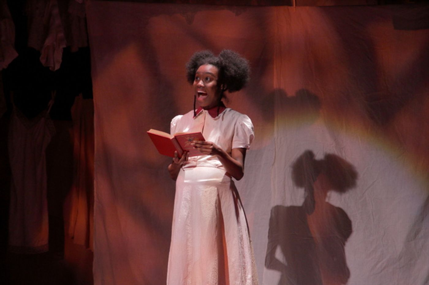 Photo Flash: First Look at Virginia Stage Company's THE BLUEST EYE  Image