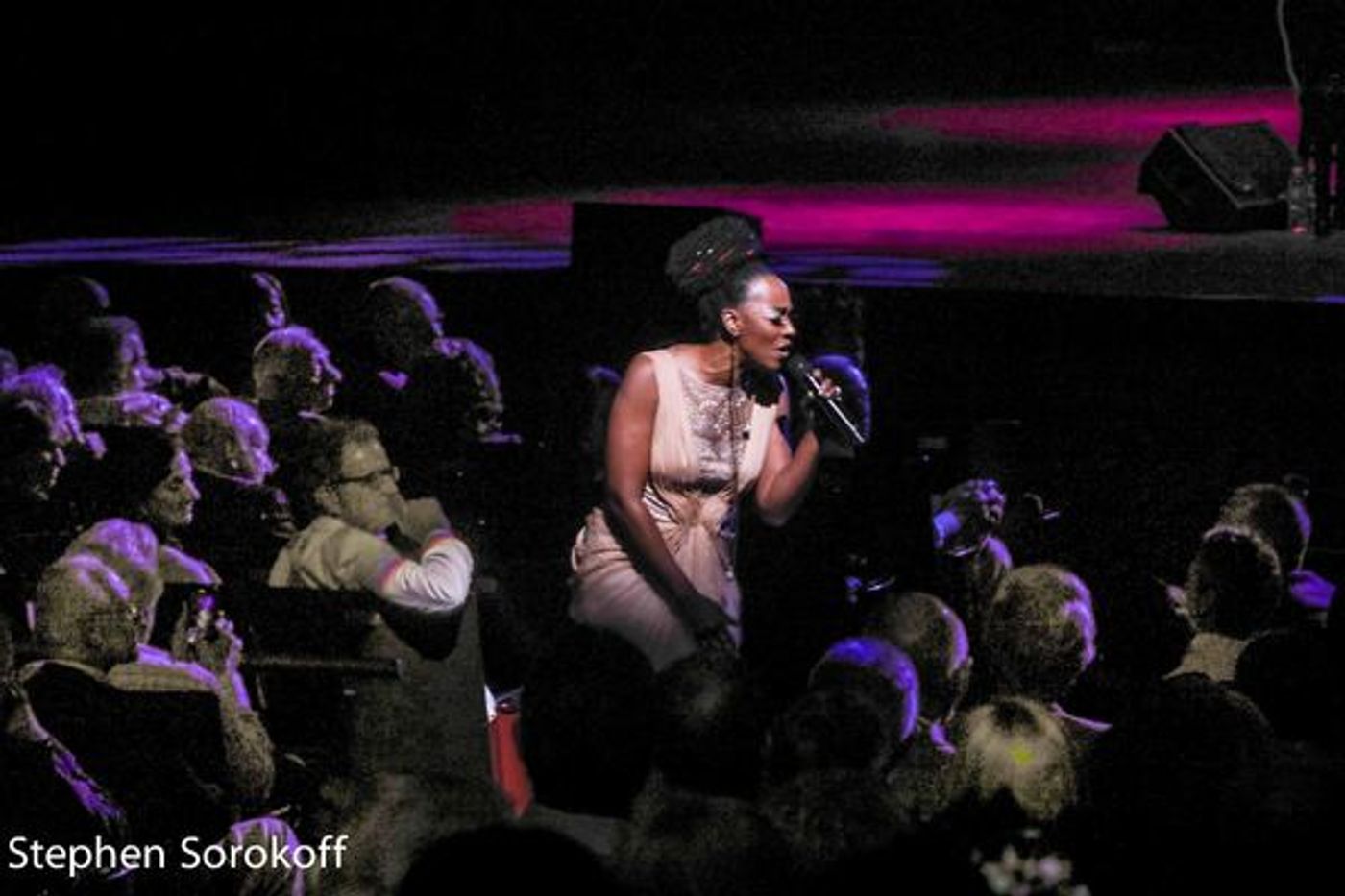 Photo Coverage: Chris Botti Plays The Kravis Center  Image