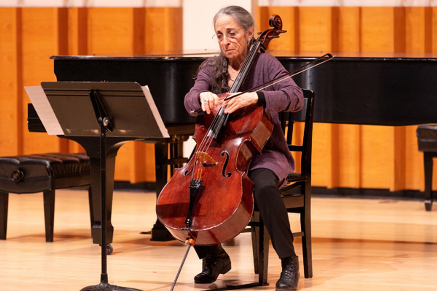 Photo Flash: PREFORMANCES with Allison Charney Presents CHAMBER MUSIC: THEN AND NOW  Image