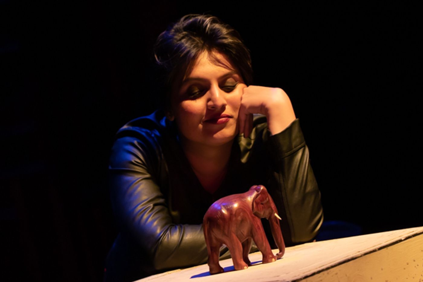 Photo Coverage: First look at the World Premiere of Evolution Theatre Company's THE ELEPHANT IN THE ROOM Photo Coverage: First look at the World Premiere of Evolution Theatre Company's THE ELEPHANT IN THE ROOM Image