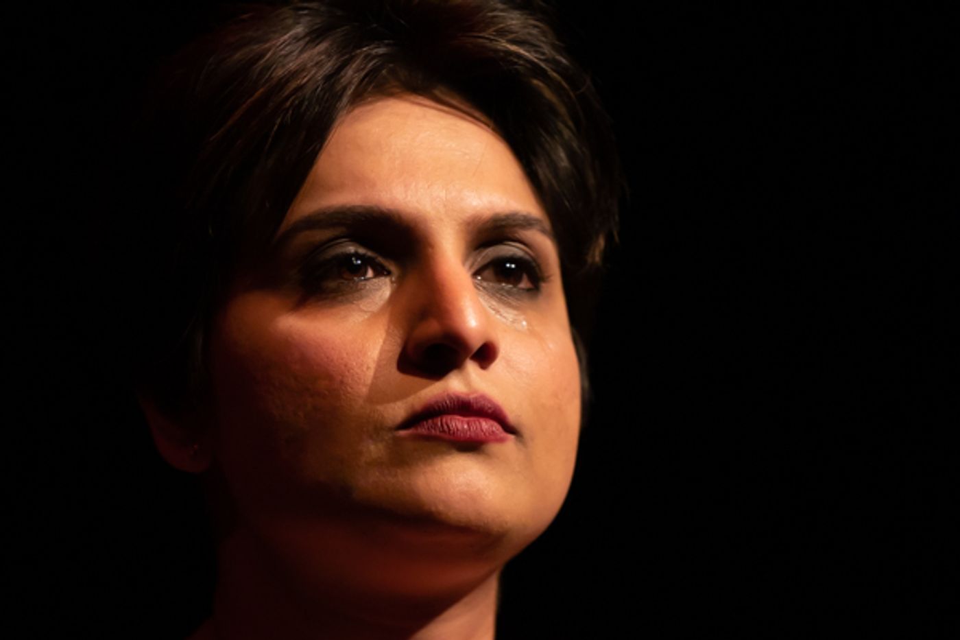 Photo Coverage: First look at the World Premiere of Evolution Theatre Company's THE ELEPHANT IN THE ROOM Photo Coverage: First look at the World Premiere of Evolution Theatre Company's THE ELEPHANT IN THE ROOM Image