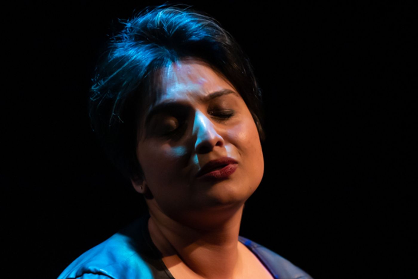 Photo Coverage: First look at the World Premiere of Evolution Theatre Company's THE ELEPHANT IN THE ROOM Photo Coverage: First look at the World Premiere of Evolution Theatre Company's THE ELEPHANT IN THE ROOM Image