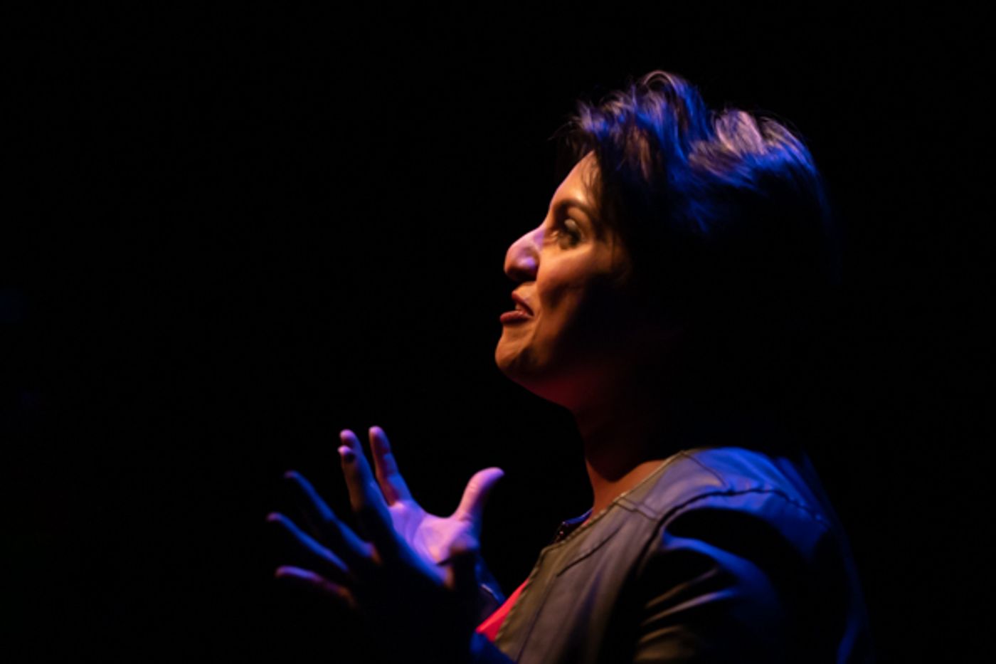 Photo Coverage: First look at the World Premiere of Evolution Theatre Company's THE ELEPHANT IN THE ROOM Photo Coverage: First look at the World Premiere of Evolution Theatre Company's THE ELEPHANT IN THE ROOM Image