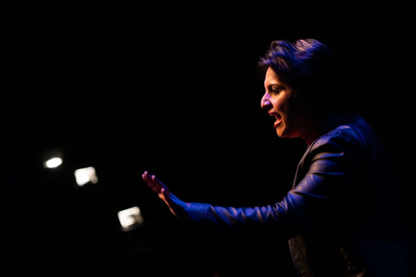 Photo Coverage: First look at the World Premiere of Evolution Theatre Company's THE ELEPHANT IN THE ROOM Photo Coverage: First look at the World Premiere of Evolution Theatre Company's THE ELEPHANT IN THE ROOM Image