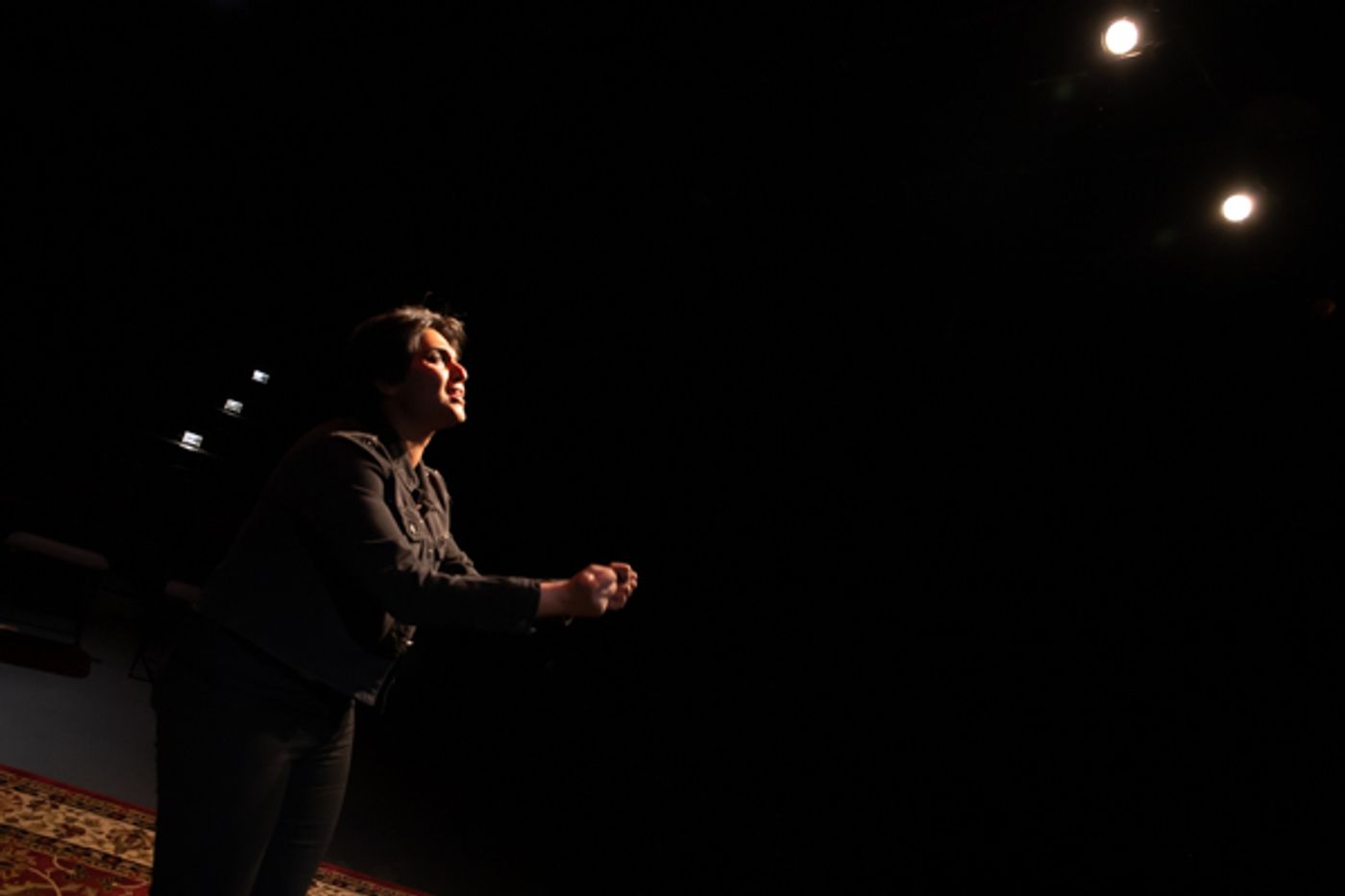 Photo Coverage: First look at the World Premiere of Evolution Theatre Company's THE ELEPHANT IN THE ROOM Photo Coverage: First look at the World Premiere of Evolution Theatre Company's THE ELEPHANT IN THE ROOM Image