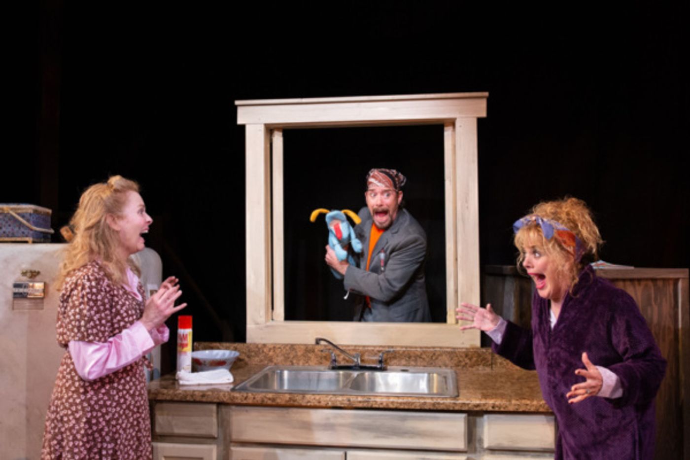 Photo Flash: First Look at Rubicon Theatre Company's FUDDY MEERS  Image