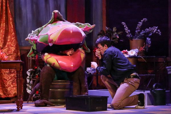 Photos: The Morgan-Wixson Theatre Presents LITTLE SHOP OF HORRORS — photo 2 of 10