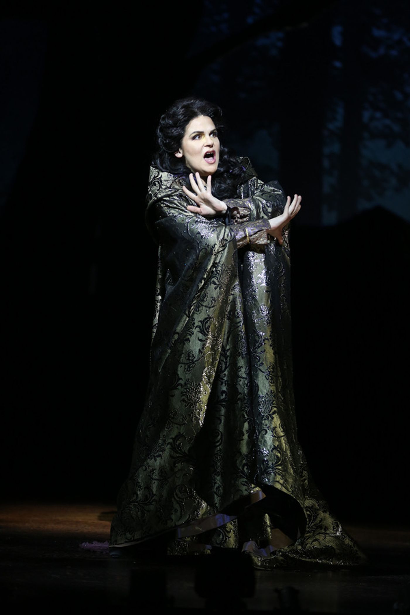 Photo Flash: Ford's Theatre Society Presents INTO THE WOODS  Image