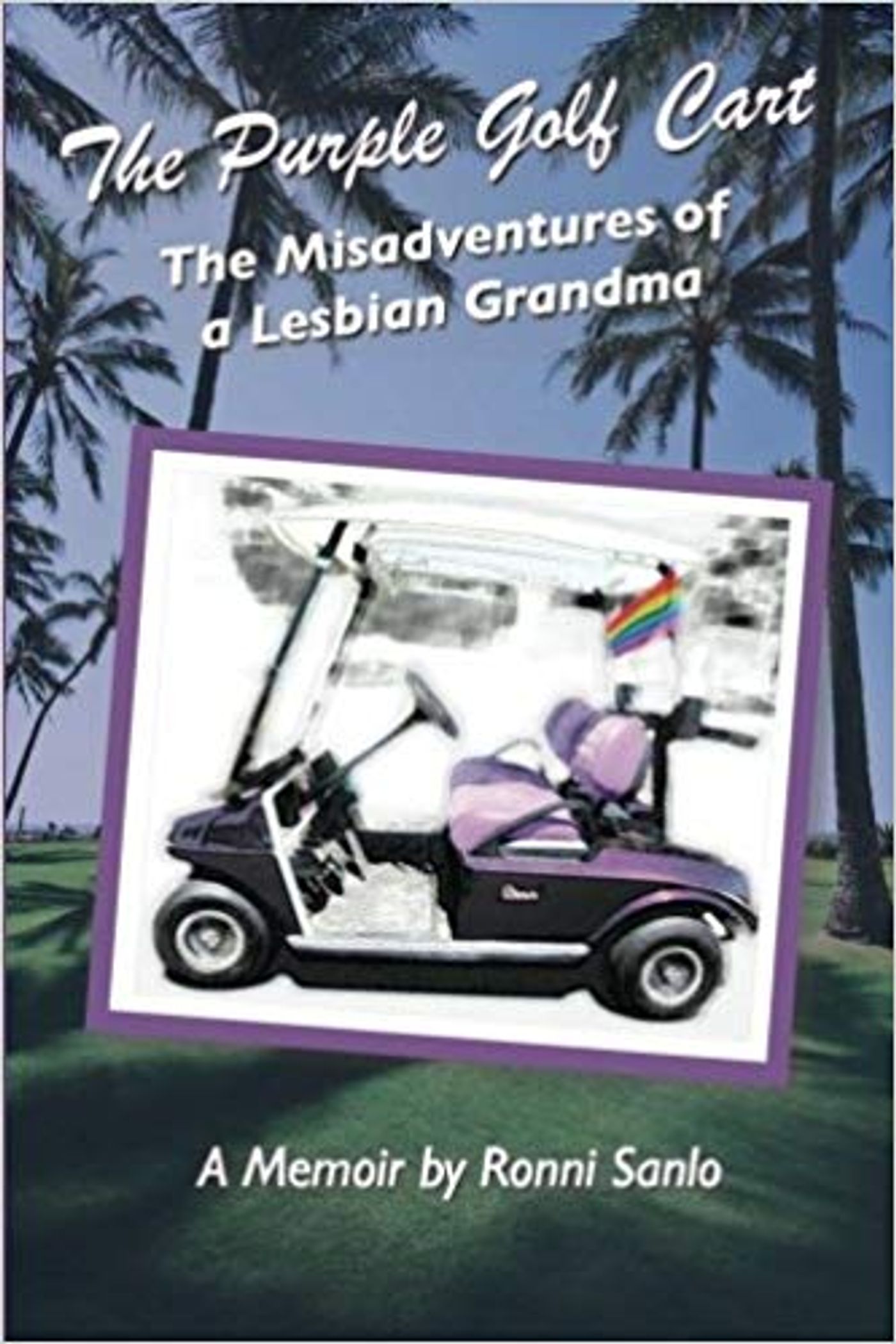 BWW Preview: DEAR ANITA BRYANT at Desert Rose  Image