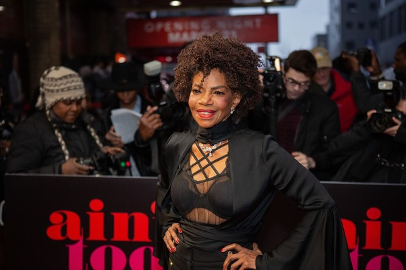 Photo Coverage: Mary Wilson, Berry Gordy & More Walk the Red Carpet at AIN'T TOO PROUD  Image