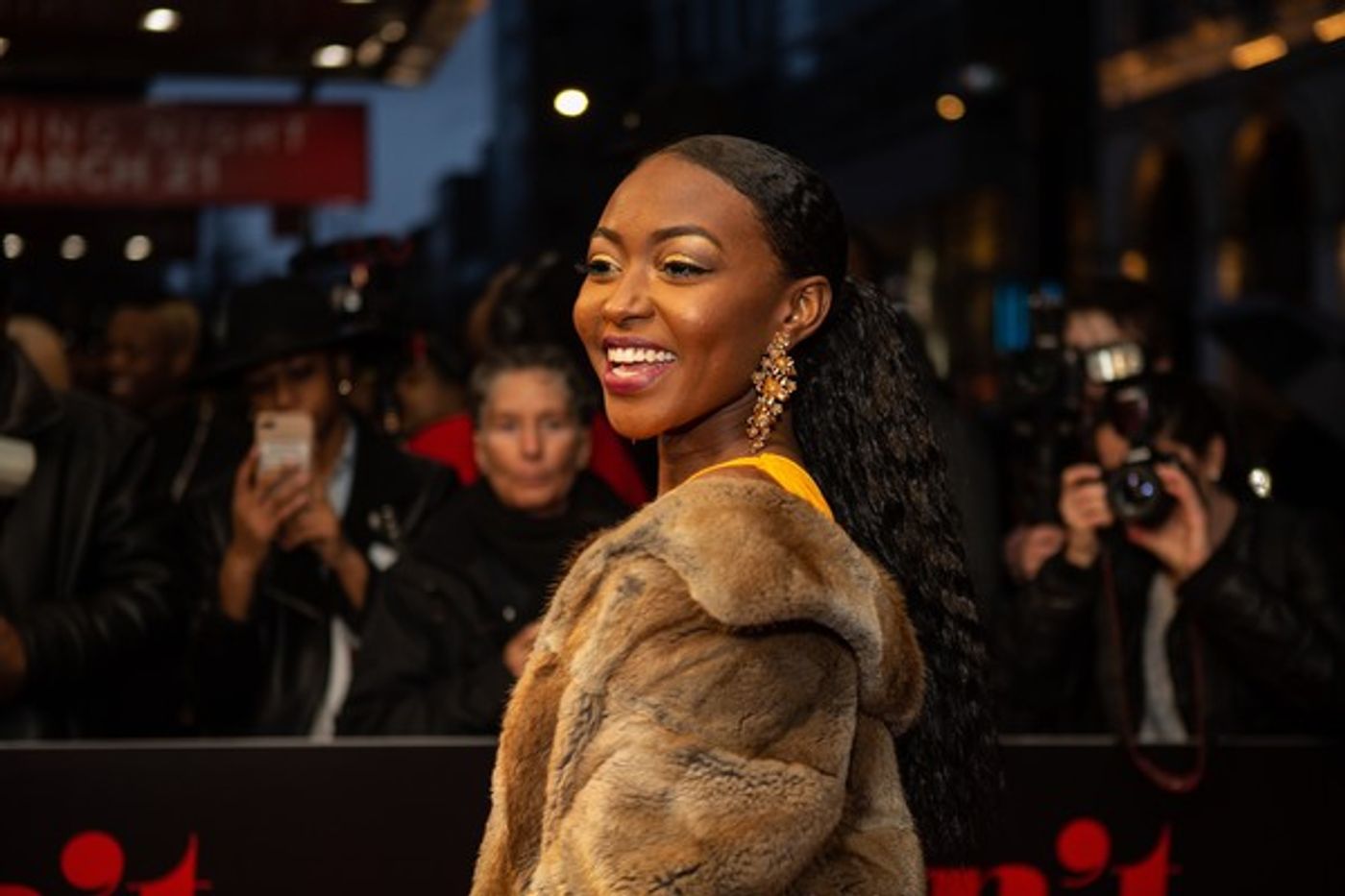 Photo Coverage: Mary Wilson, Berry Gordy & More Walk the Red Carpet at AIN'T TOO PROUD  Image