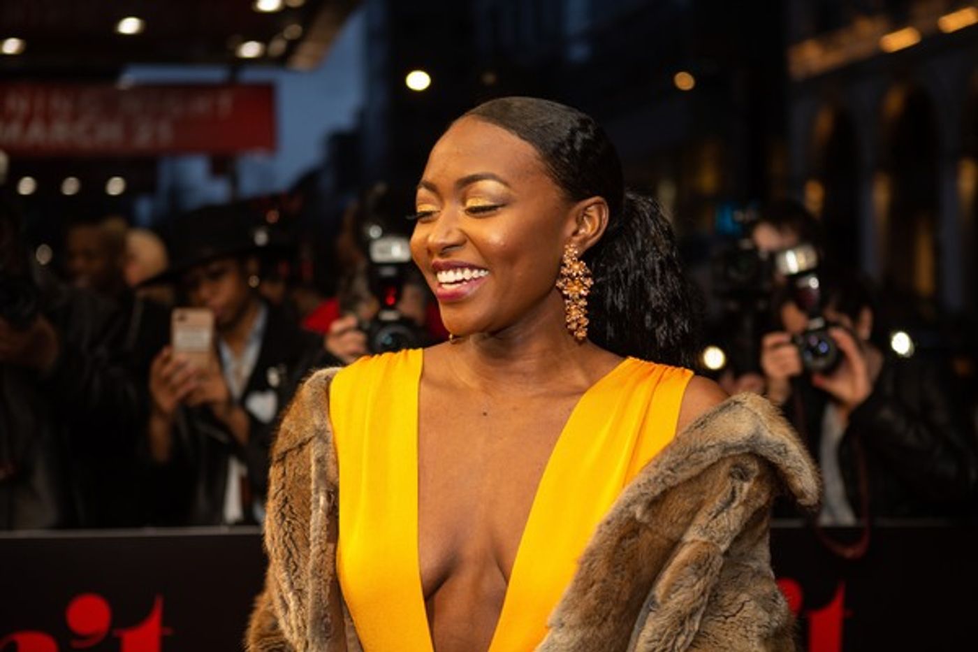 Photo Coverage: Mary Wilson, Berry Gordy & More Walk the Red Carpet at AIN'T TOO PROUD  Image