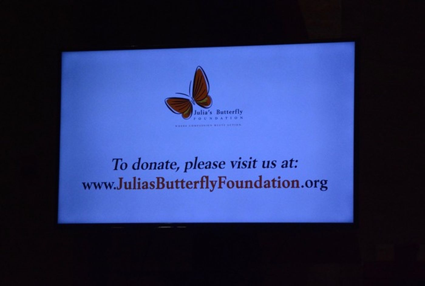 Photo Coverage: ANTHONY KEARNS Plays a Benefit Show for Julia's Butterfly Foundation  Image
