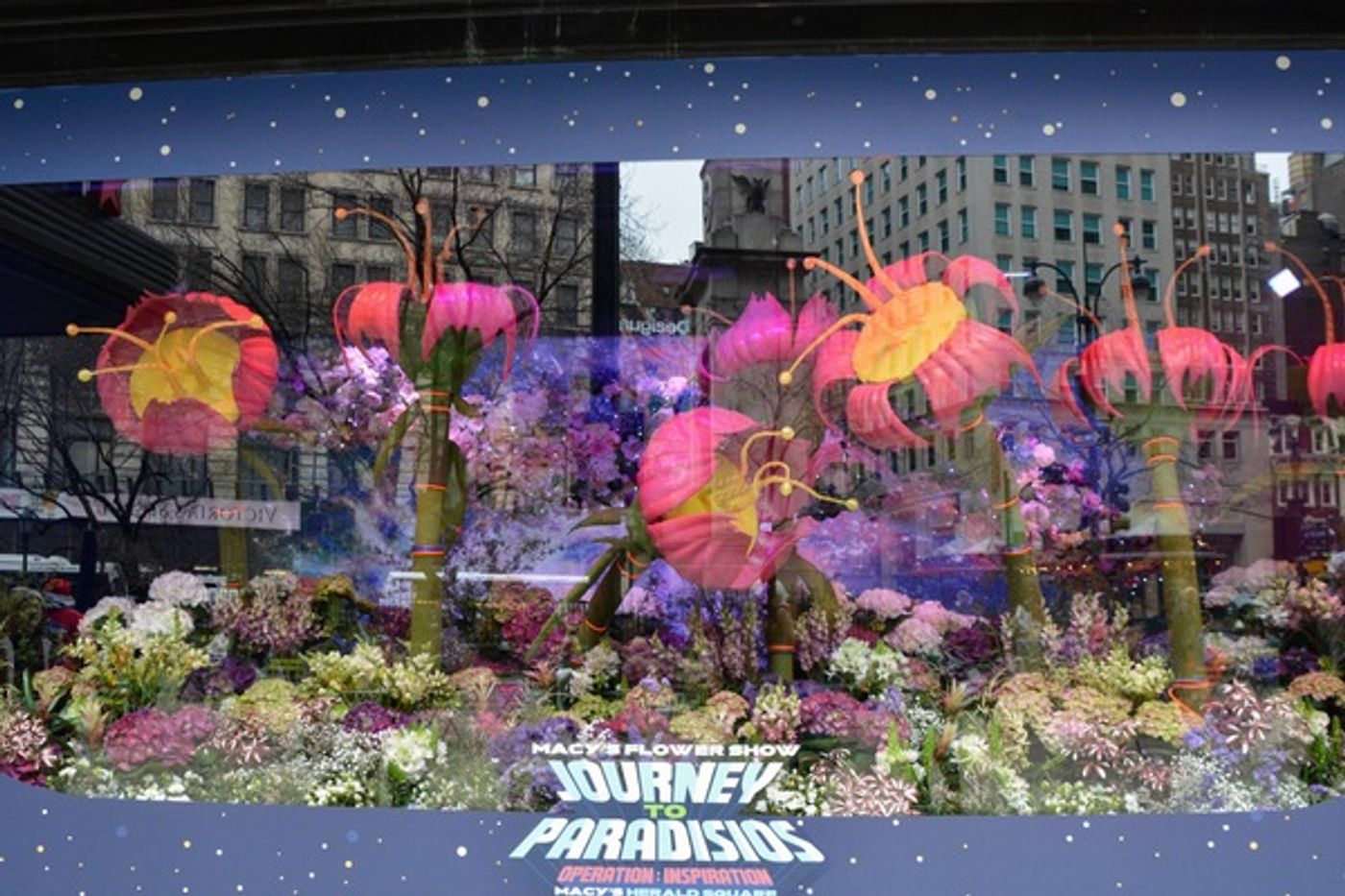 Photo Coverage: MACY'S FLOWER SHOW- Journey to Paradisios Operation: Inspiration  Image