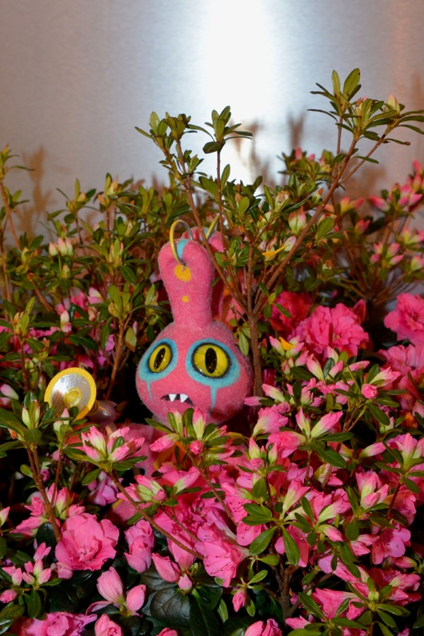 Photo Coverage: MACY'S FLOWER SHOW- Journey to Paradisios Operation: Inspiration  Image