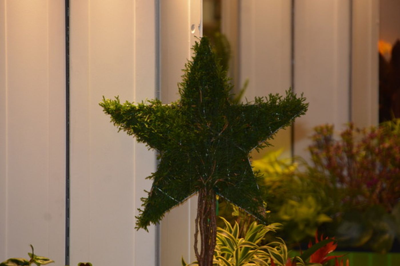 Photo Coverage: MACY'S FLOWER SHOW- Journey to Paradisios Operation: Inspiration  Image