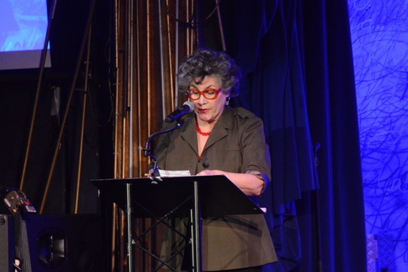 Photo Coverage: Go Inside the 33rd Annual MAC Awards!  Image