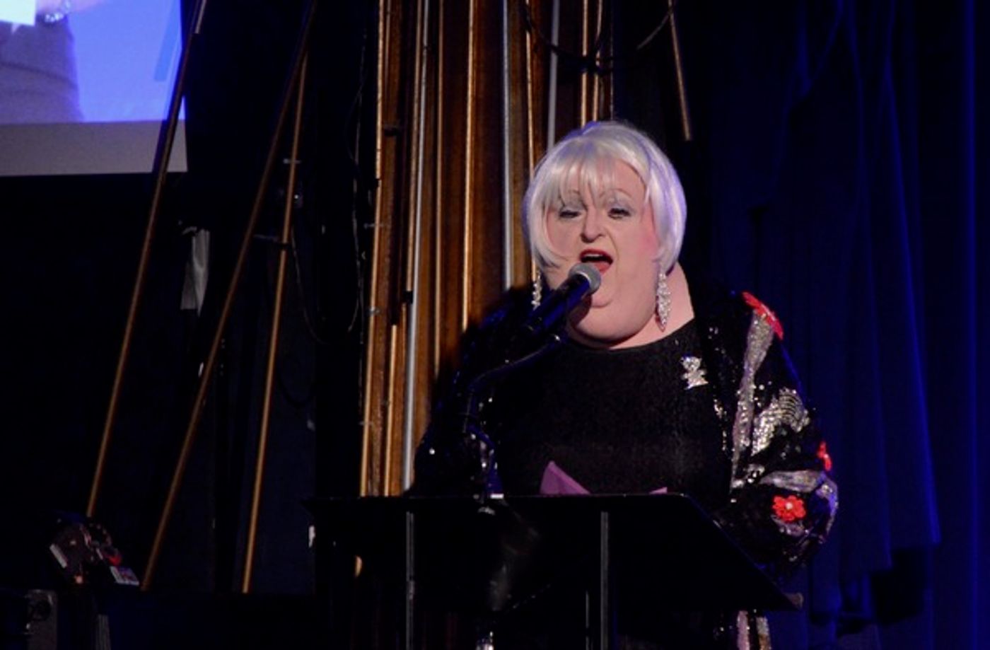 Photo Coverage: Go Inside the 33rd Annual MAC Awards!  Image