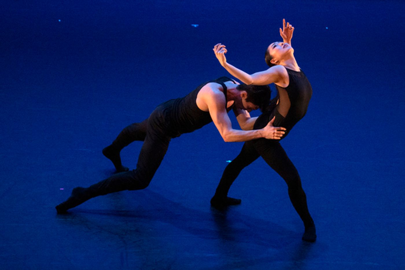 Photo Flash: Dance Lab New York Celebrates Annual Spring Gala  Image