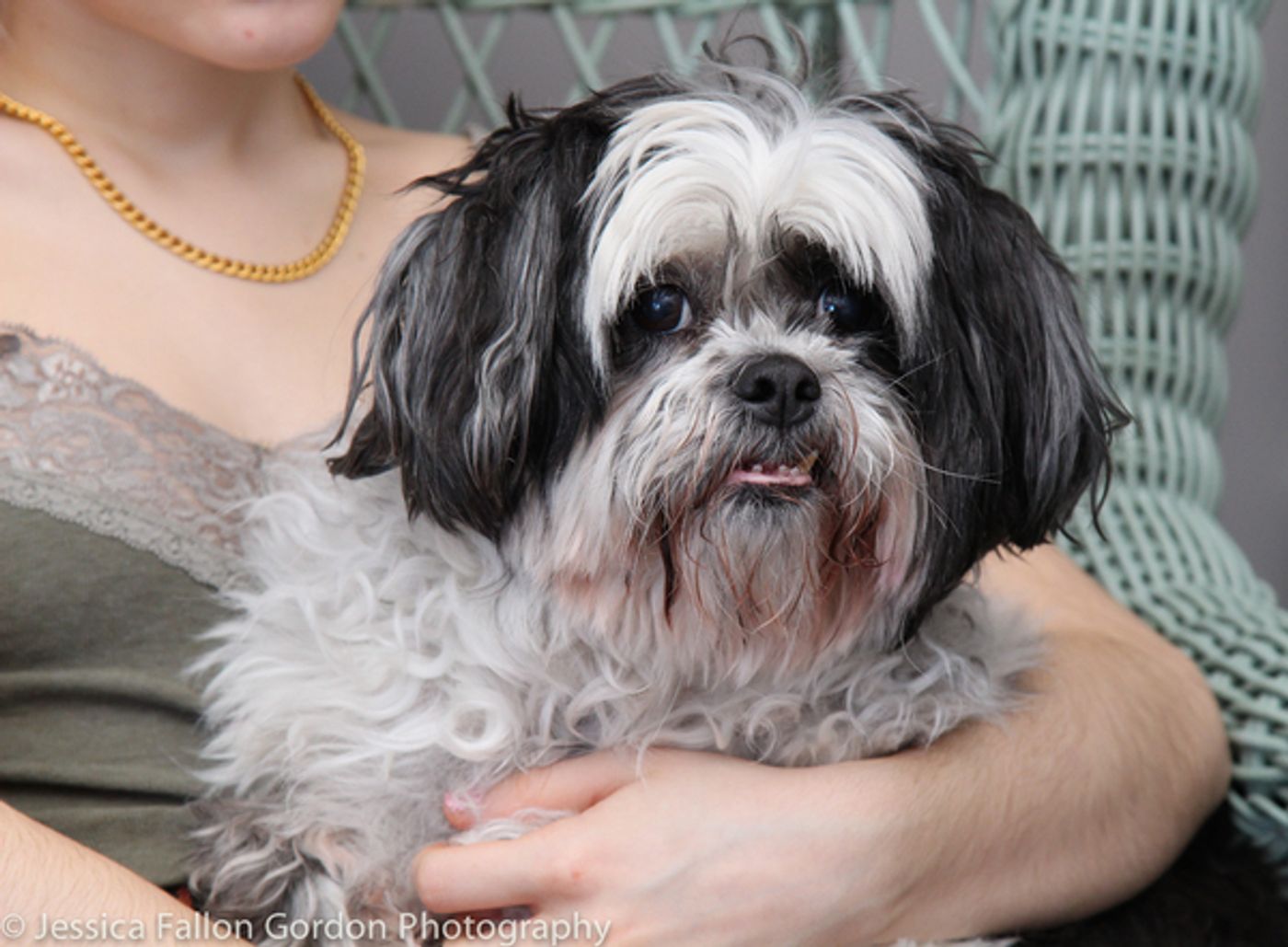 Tails of Broadway: Sophia Anne Caruso Cuddles Up with Pucci!  Image