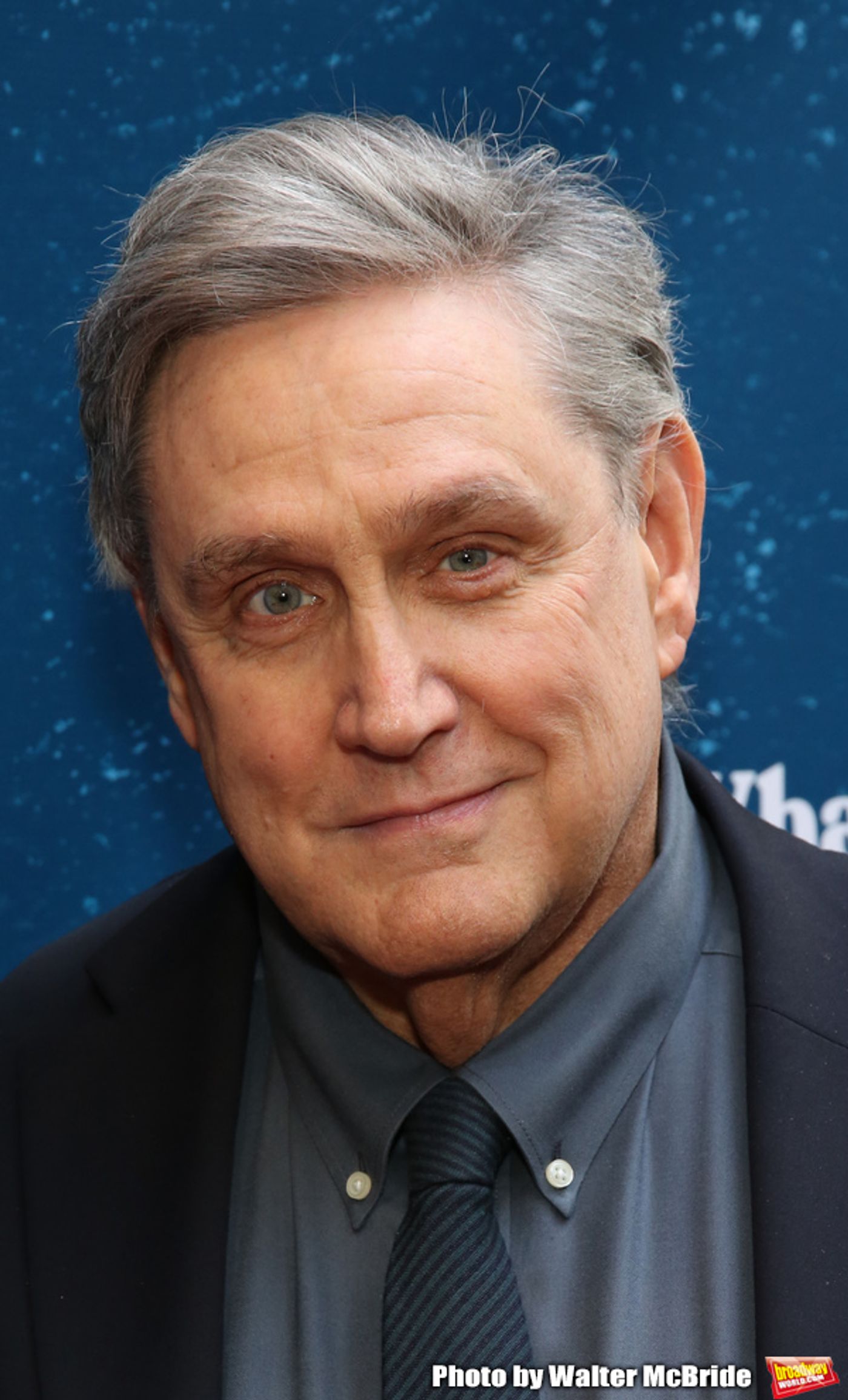 Photo Coverage: The Stars Arrive on the Red Carpet at WHAT THE CONSTITUTION MEANS TO ME Opening Night  Image