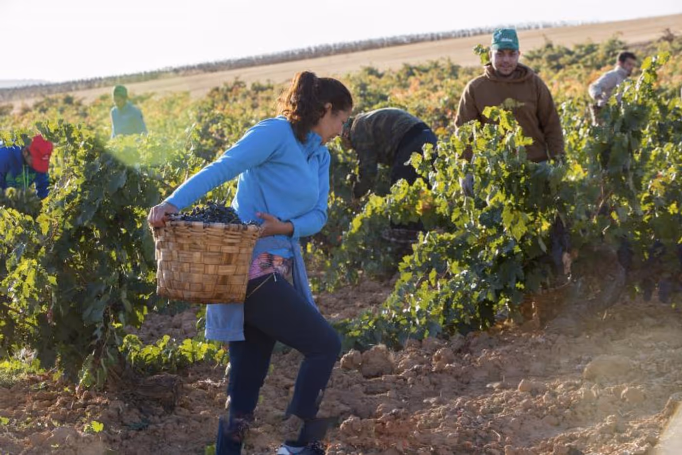 Photo Coverage: TINTO FIGUERO Wines from Spain Delight Wine Aficionados and Many More  Image