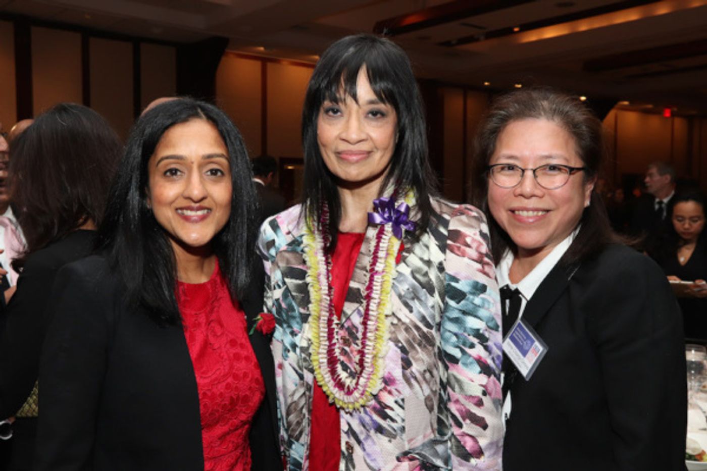 Photo Flash: Aasif Mandvi And Juju Chang Celebrate AALDEF's 45th Anniversary In NYC With 2019 Justice In Action Awards  Image