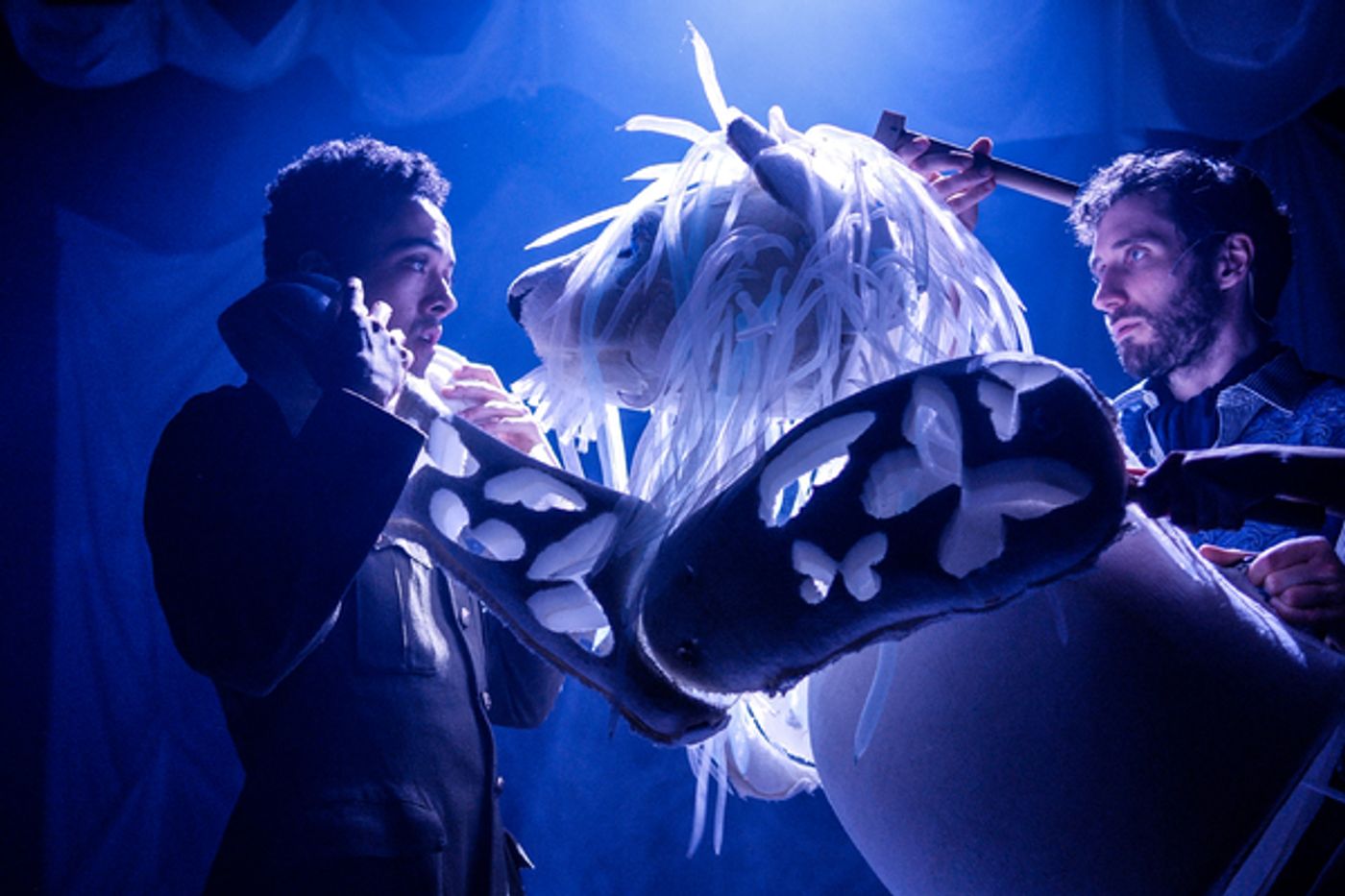 Photo Flash: First Look at THE BUTTERFLY LION at Barn Theatre  Image