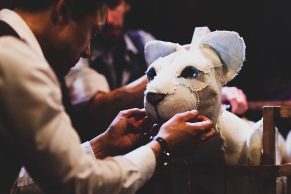 Photo Flash: First Look at THE BUTTERFLY LION at Barn Theatre  Image