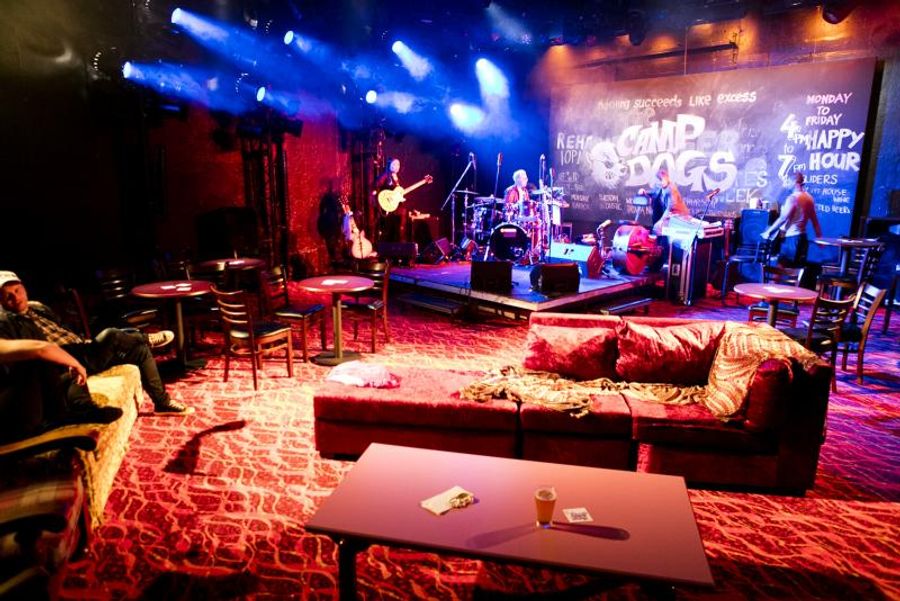 BWW REVIEW:. BARBARA & THE CAMP DOGS, The Bold, Brash And Brilliant Must See Australian Work Returns For An Encore Season. Image