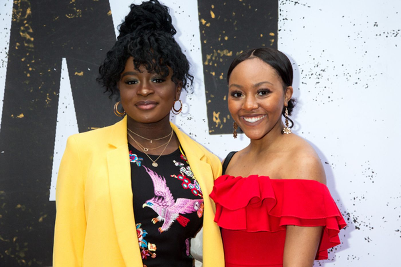 Photo Coverage: Rosie O'Donnell, Ben Platt & More Walk the Red Carpet at OKLAHOMA! Opening Night  Image